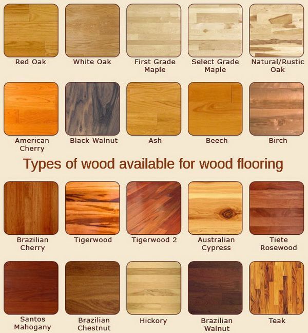 This flooring chart shows the many types of wood available for .