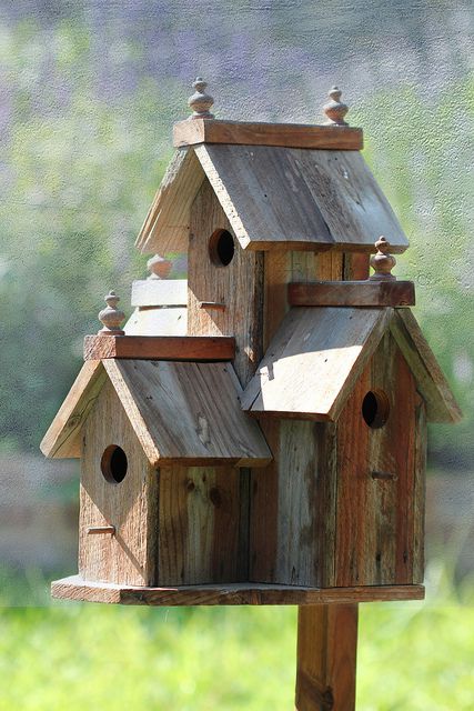 The Birdhouse Made explore. Jenny | Flickr - Photo Sharing .