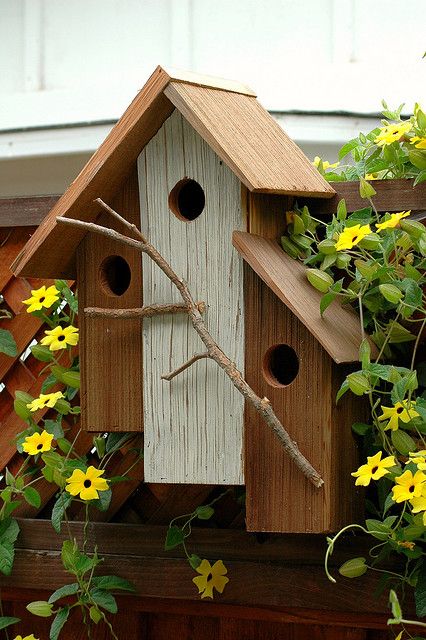 Bird House | Unique bird houses, Bird houses diy, Bird hou