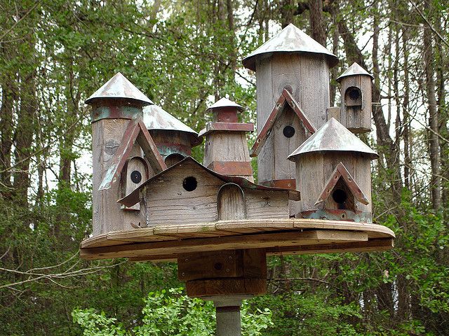 Pin on Birdhouses - Bird baths - Bird feede