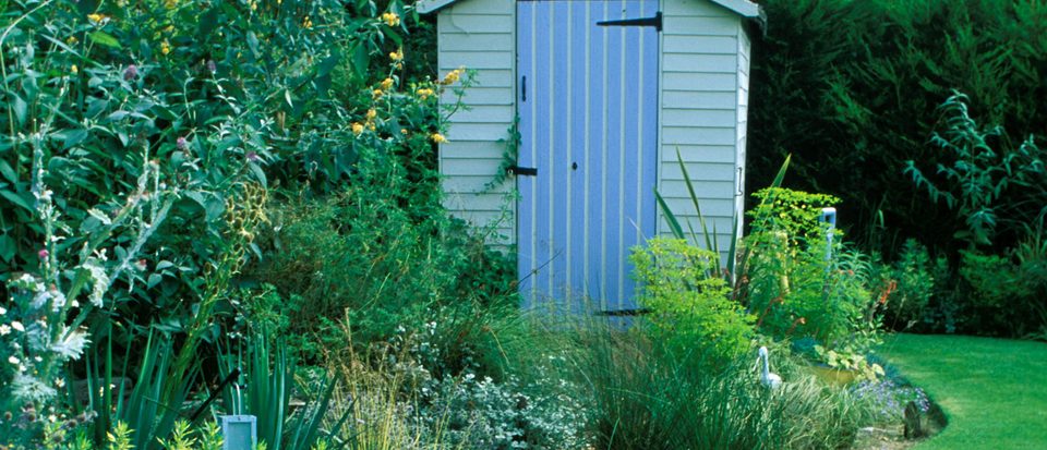 10 Ways to Improve Your Garden Shed | BBC Gardeners World Magazi