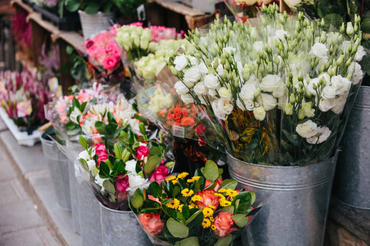 A Pro Florist's Best Tips for Choosing and Caring for Flowers .