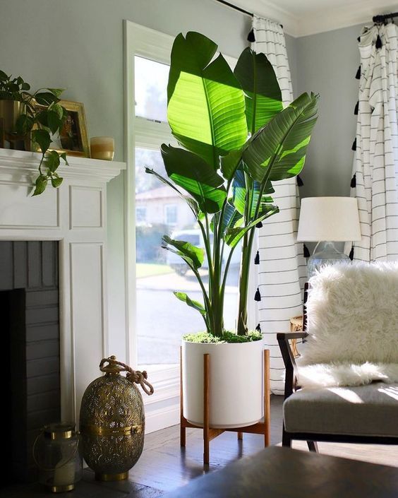 The Best Living Room Decorating Ideas Under Windows - Decoholic .