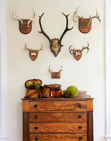 Decorating with Deer Heads and Antlers, Real and Whimsical .
