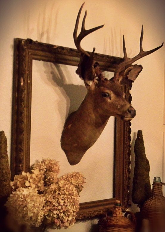 Found on Bing from www.pinterest.com | Deer head decor, Deer mount .