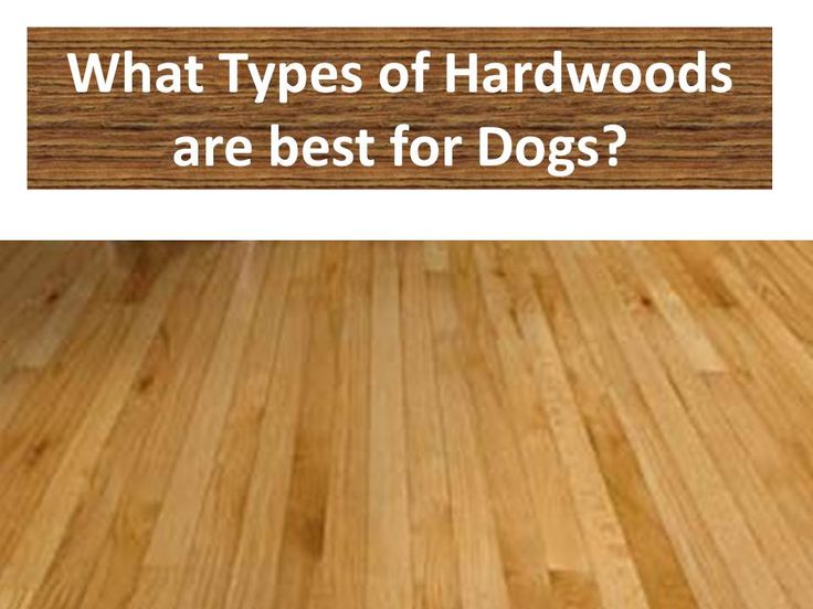 Best hardwood flooring for Dogs | Types of hardwood floors, Best .