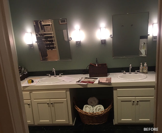 Master Suite Spa | Bathroom Remodel in Edina