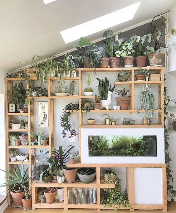 Plant Shelf Ideas: 35+ Creative Ways To Display Plants | Indoor .