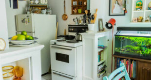 Rental Kitchen Decorating Ideas | The Kitc