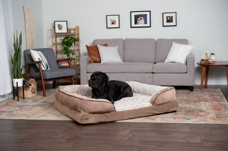 Sofa Dog Bed - Velvet Waves Perfect ComfortConvolute Orthopedic .