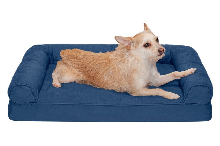 Sofa Dog Bed - QuiltedConvolute Orthopedic Foam / Navy / Medium .