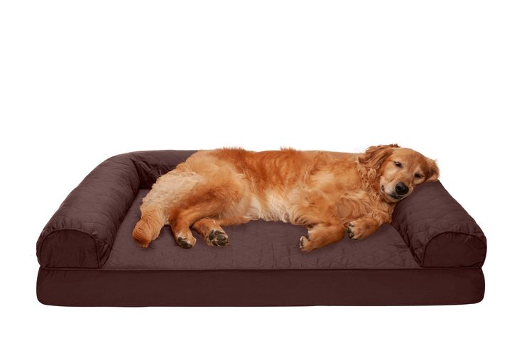 Sofa Dog Bed - QuiltedSolid Orthopedic Foam / Coffee / Jumbo | Dog .