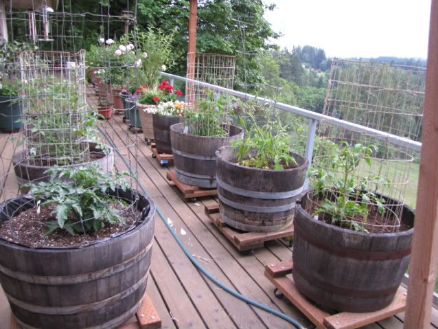 great idea for gardening if you have a small space | Vegetable .