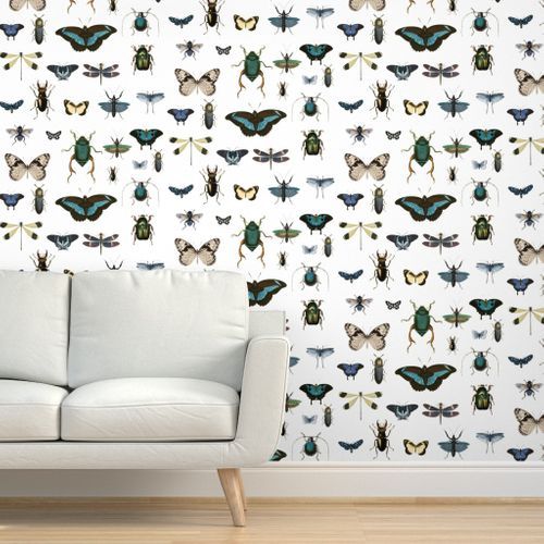 8" Blue and Black Bugs and Moths Wallpaper | Spoonflower wallpaper .