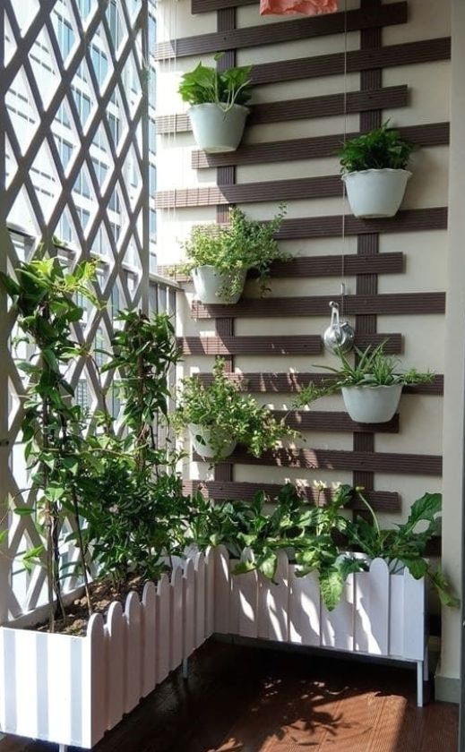 Vertical Balcony Garden Ideas To Save Your Space | Small balcony .