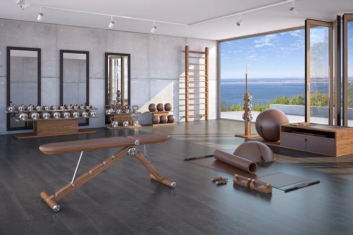 Luxury Home Gym Equipment | PENT. Home and Hotel Gym | Home gym .