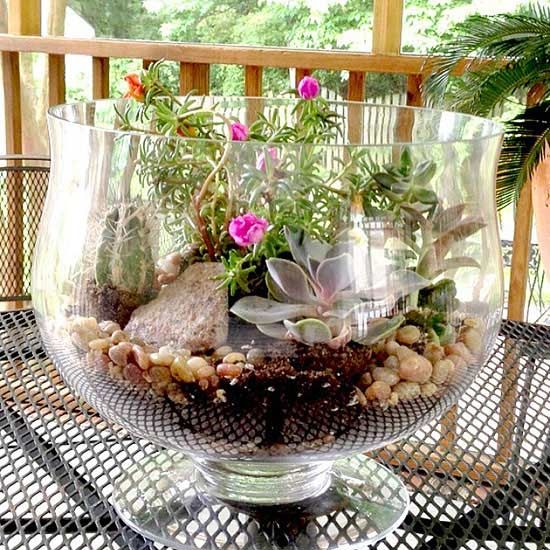 Here's How to Make a Terrarium to Show Off Your Favorite Tiny .