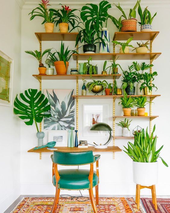 Plant Shelf Ideas: 35+ Creative Ways To Display Plants | Indoor .