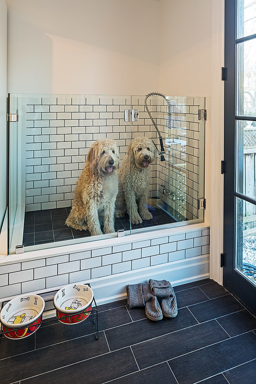 Gone to the Dogs - Pet Bath For Your Home — HomeSource Design Cent