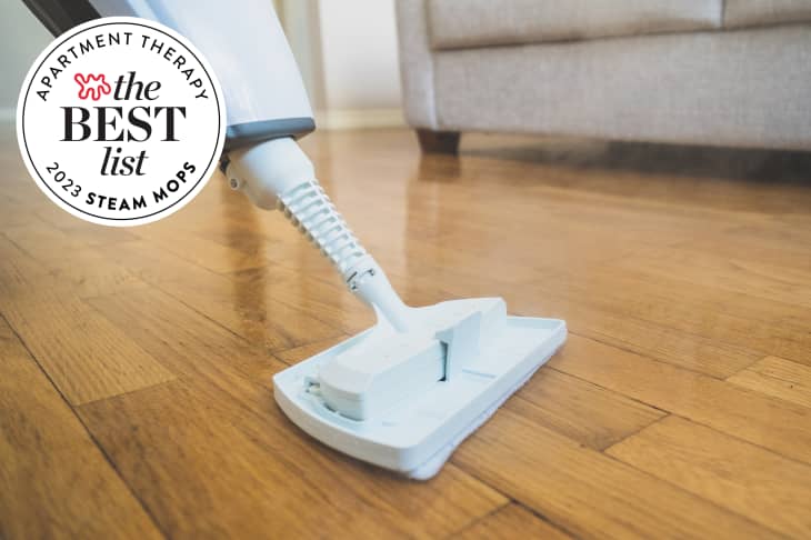 The Best Steam Mops of 2023, Tested By AT Editors | Apartment Thera