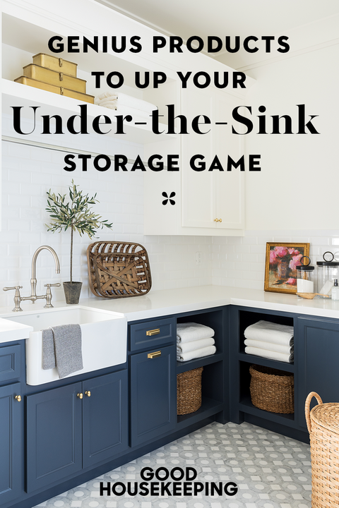 18 Genius Under-the-Sink Storage Ideas and Organize