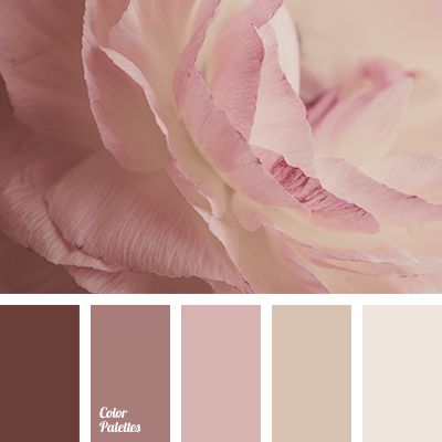 Color Palette #2286 | Brown color palette, Color balance, Color .