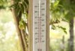 Outdoor Thermometers You'll Love | Wayfair | Outdoor thermometer .