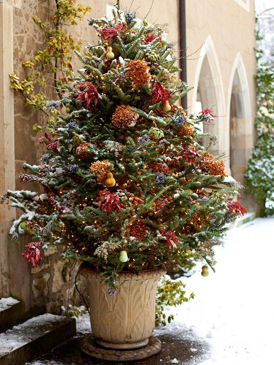 Pretty!! | Outdoor christmas tree, Outdoor christmas decorations .