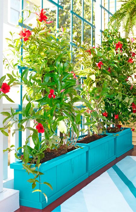Trellis Planter Box | Privacy plants, Planter trellis, Balcony trell