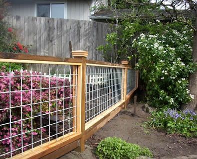 Fencing, Trellis, Greenhouses | Backyard fences, Fence design .