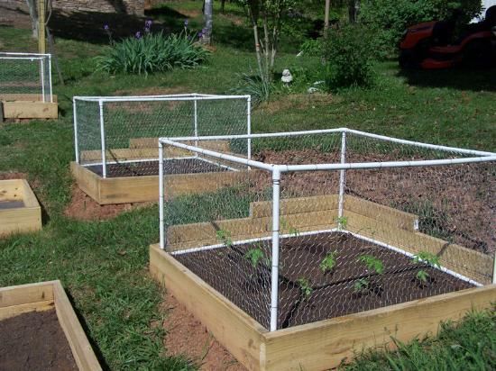 Building Garden Fence Boxes - Grit | Raised vegetable gardens .