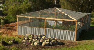 enclosed garden~to keep out deer and critters | Vegetable garden .