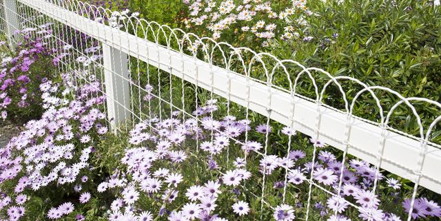 35 Best Garden Fence Ideas - Different Types of Garden Fenc