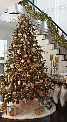 Real Christmas Tree For Your Home Decor