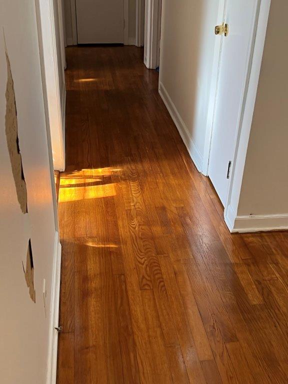 Greensboro Wood Floor Restoration by ProTech Carpet Ca