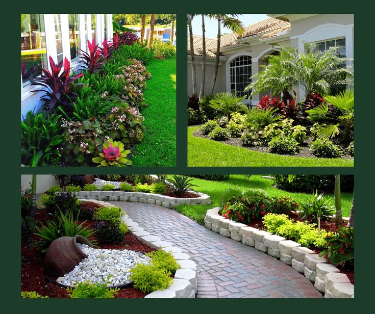 Landscape Ideas For Your Central Florida Front Yard - NURSERY .