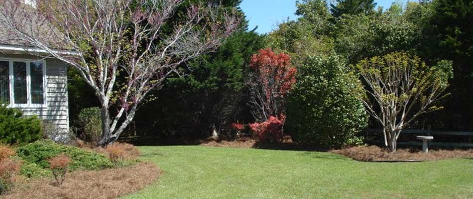 Why Your Yard Needs Custom Landscaping | Wood Lawn & Landscaping Bl