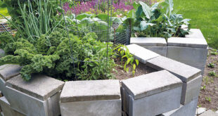 How To Build a Keyhole Garden Bed | Garden Ga