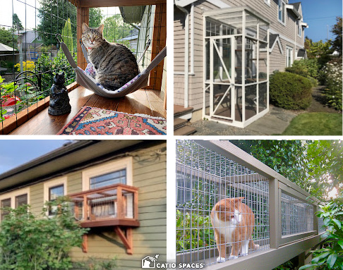 Catios for Small Spaces - Catio Spac