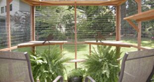 5 Tips to Refresh Your Catio for Spring - Catio Spac