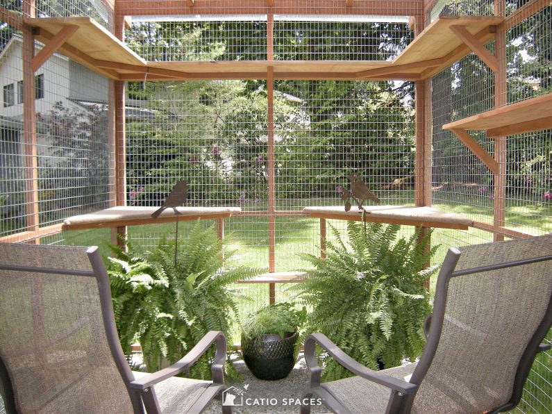 5 Tips to Refresh Your Catio for Spring - Catio Spac