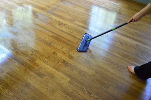 Rejuvenate" floor cleaner from Home Depot - comes in glossy and .