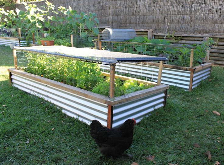 Inexpensive Raised Bed Ideas | Ozarks Gardening Made Easy with .