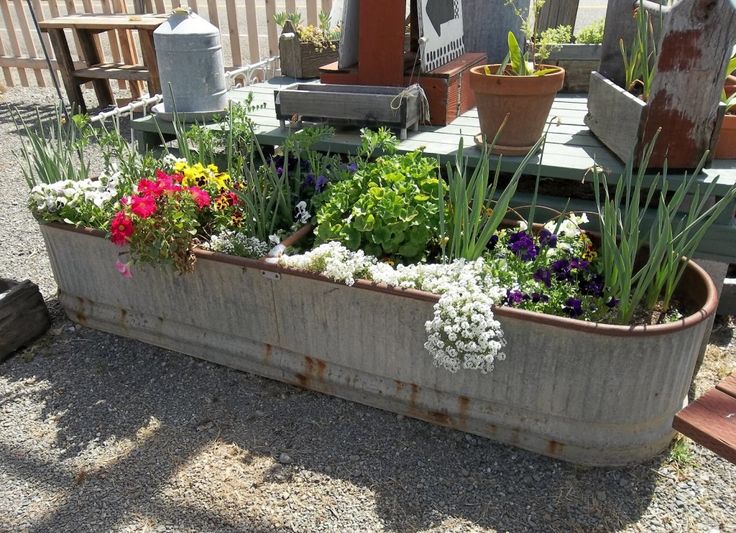 Unique and best gardening ideas