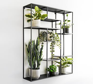 Skylar Wall Display Shelf #potterybarn | Display shelves, Plant .