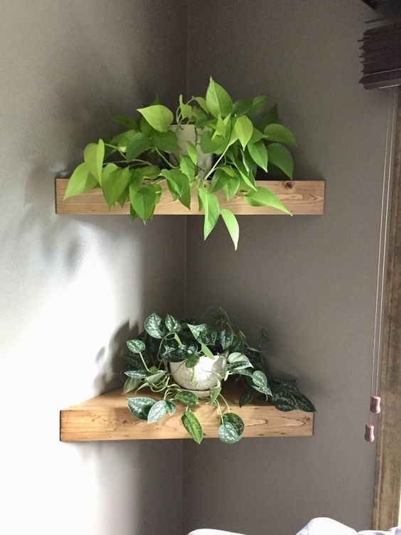 Plant Shelf Ideas: 35+ Creative Ways To Display Plants | Deco .