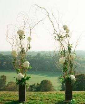 Curly Willow Wedding Arch | Curly willow wedding, Wedding arch .