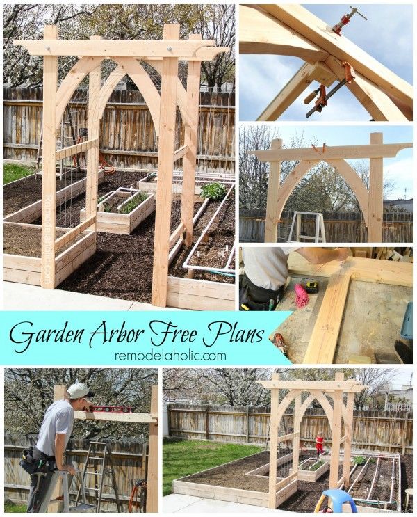 Vegetable Garden Arbor DIY Plans | Garden arbor, Garden planning .