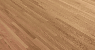 Red Oak Select 3/8” x 2-1/4” Unfinished Solid Hardwood Flooring .