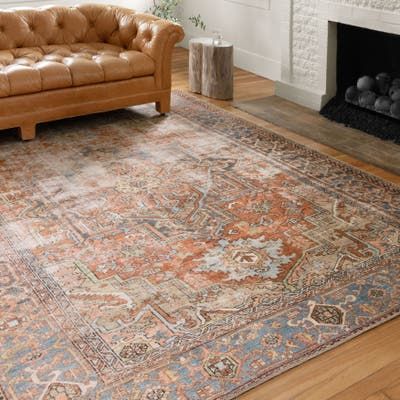 Our Best Rugs Deals | Alexander home, Cool rugs, Distressed ru